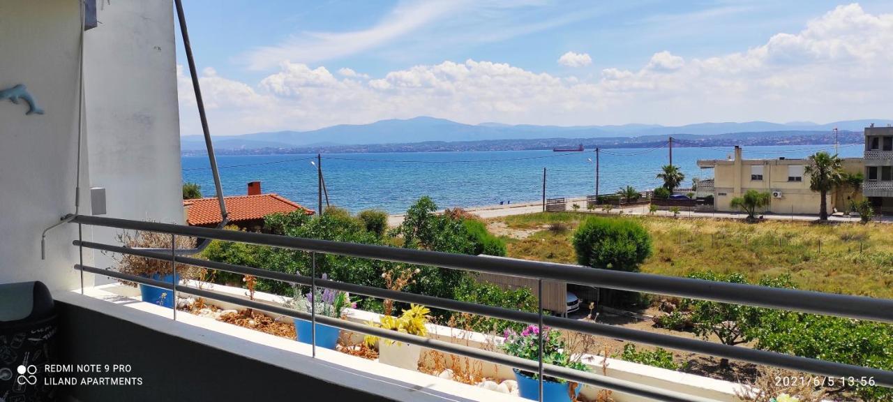 Liland Beachfront Lefkandi Chalkidas Exterior photo